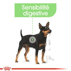 Royal Canin - Sachets Digestive Care en Mousse pour Chien - 12X85g