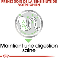Royal Canin - Sachets Digestive Care en Mousse pour Chien - 12X85g