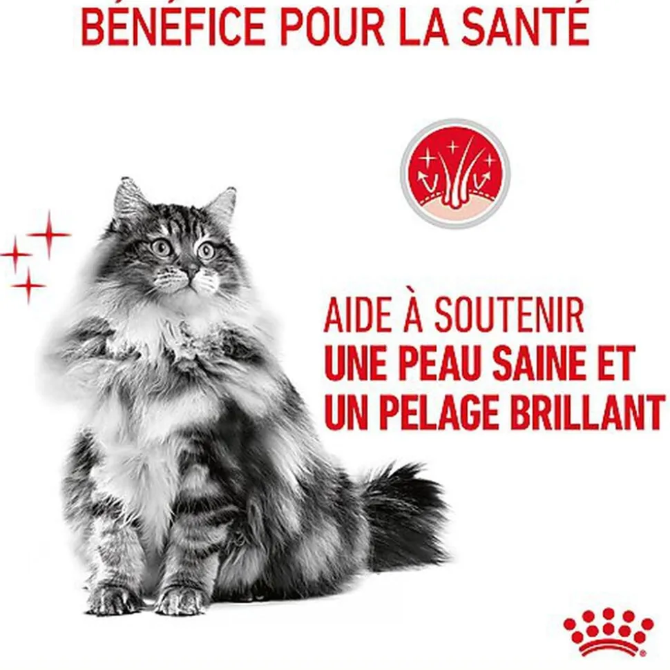 Royal Canin - Sachets Hair&Skin Sauce pour Chat - 12x85g