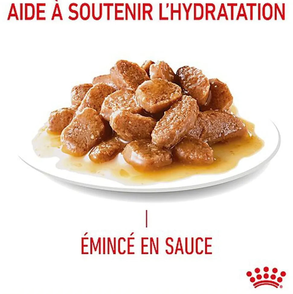 Royal Canin - Sachets Hair&Skin Sauce pour Chat - 12x85g