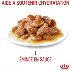 Royal Canin - Sachets Hairball Care en Sauce pour Chat - 12x85g
