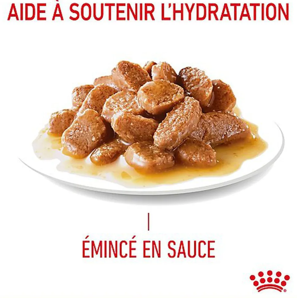 Royal Canin - Sachets Hairball Care en Sauce pour Chat - 12x85g