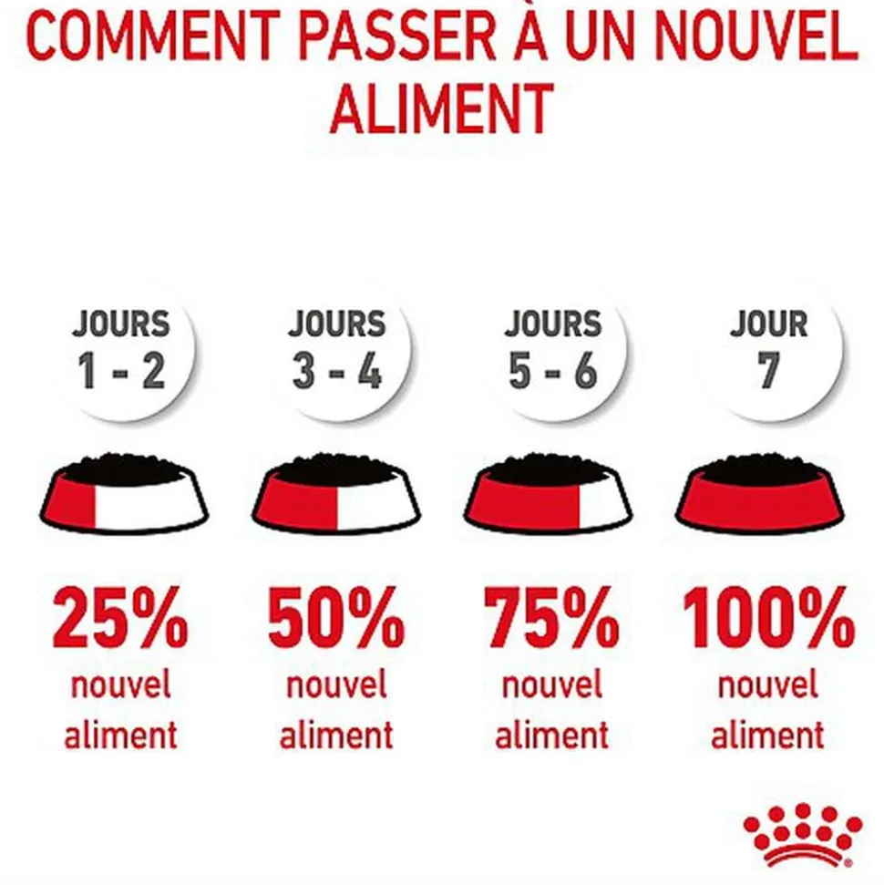 Royal Canin - Sachets Hair&Skin Gelée pour Chat - 12x85g
