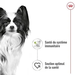 Royal Canin - Sachets Humides en Sauce X-Small Adult - 12x85g