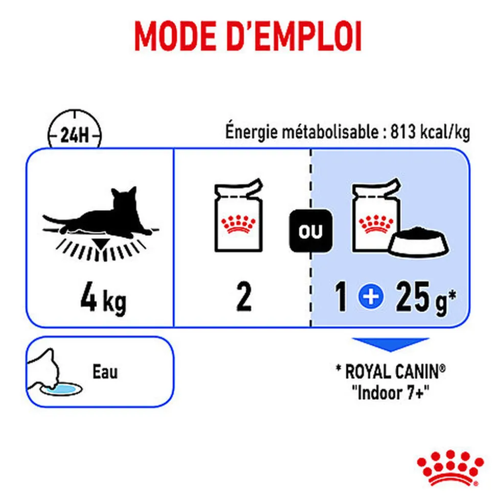 Royal Canin - Sachets Indoor en Gelée pour Chat - 12x85g