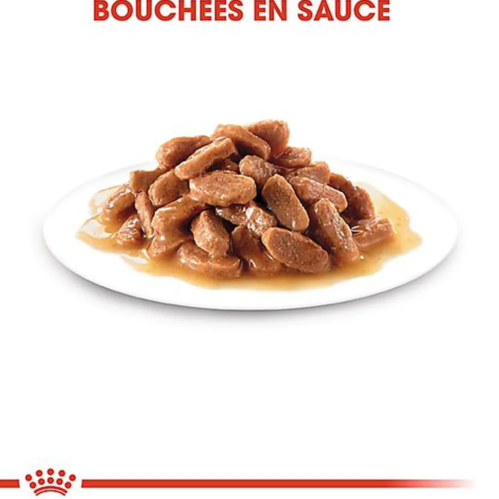 Royal Canin - Sachets Kitten Instinctive en Sauce pour Chat - 12x85g