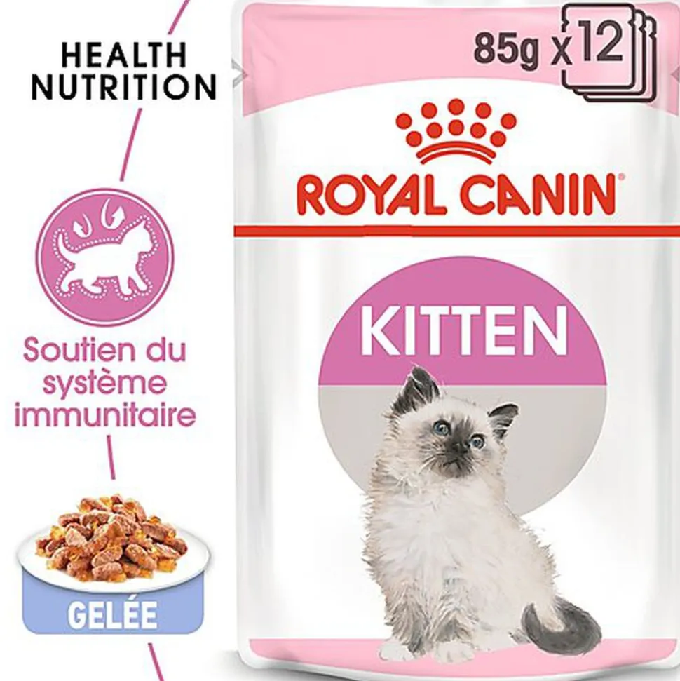 Royal Canin - Sachets Kitten Instinctive en Gelée pour Chaton - 12x85g
