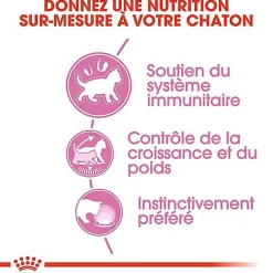 Royal Canin - Sachets Kitten Sterilised en Sauce pour Chaton - 12x85g