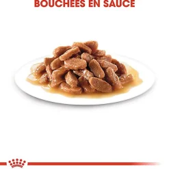Royal Canin - Sachets Kitten Sterilised en Sauce pour Chaton - 12x85g