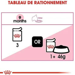 Royal Canin - Sachets Kitten Sterilised en Sauce pour Chaton - 12x85g