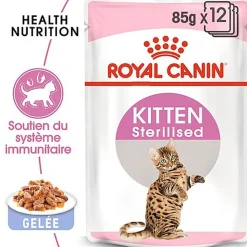 Royal Canin - Sachets Kitten Sterilised en Gelée pour Chaton - 12x85g