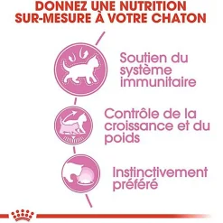 Royal Canin - Sachets Kitten Sterilised en Gelée pour Chaton - 12x85g