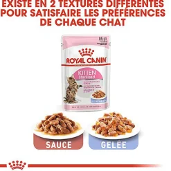 Royal Canin - Sachets Kitten Sterilised en Gelée pour Chaton - 12x85g