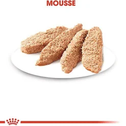 Royal Canin - Sachets Kitten en Mousse pour Chaton - 12x85g