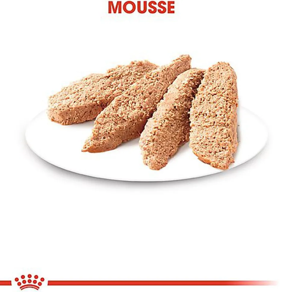 Royal Canin - Sachets Kitten en Mousse pour Chaton - 12x85g