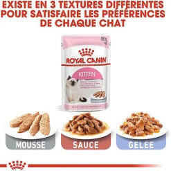 Royal Canin - Sachets Kitten en Mousse pour Chaton - 12x85g