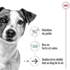 Royal Canin - Sachets Mini Ageing 12+ en Sauce pour Chien - 12X85g
