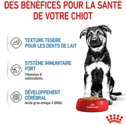 Royal Canin - Sachets Puppy Maxi en Sauce pour Chiot - 10x140g