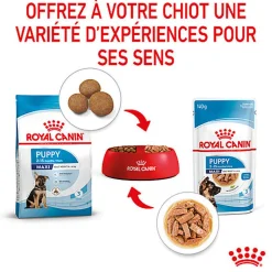 Royal Canin - Sachets Puppy Maxi en Sauce pour Chiot - 10x140g