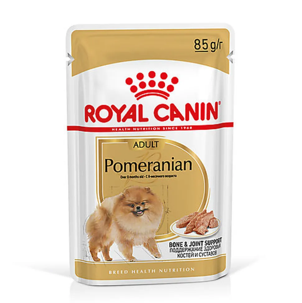 Royal Canin - Sachets Spitz Adult en Mousse pour Chien - 12x85g