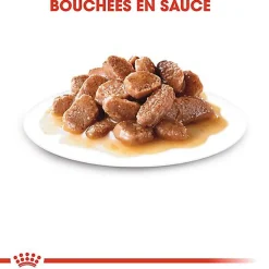 Royal Canin - Sachets Sterilised en Sauce pour Chat - 12x85g