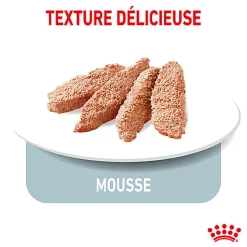 Royal Canin - Sachets Ultra Light en Mousse pour Chien - 12X85g