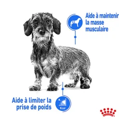 Royal Canin - Sachets Ultra Light en Mousse pour Chien - 12X85g