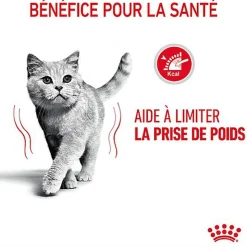 Royal Canin - Sachets Ultra Light en Gelée pour Chat - 12x85g
