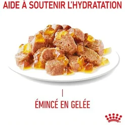 Royal Canin - Sachets Ultra Light en Gelée pour Chat - 12x85g