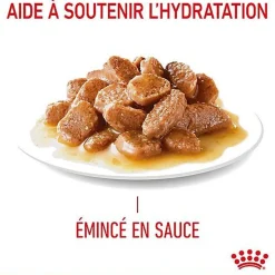 Royal Canin - Sachets Urinary Care en Sauce pour Chat - 12x85g