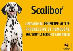 Scalibor - Collier Antiparasitaire pour Chien