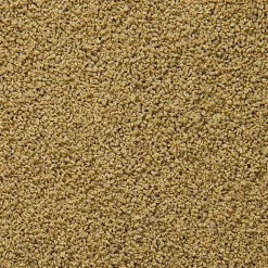 Sera - Aliments Spécial Élevage ImmunPro Mini pour Poissons - 250ml