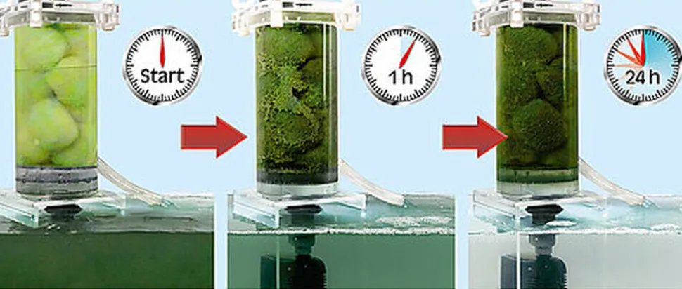 Sera - Média de Filtration en Boule Crystal Clear Professional pour Aquarium - x12