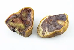 Serrano - Friandise Jarret de Jambon pour Chien - x2