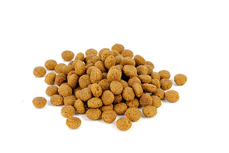Solidary - Croquettes pour Chiens - 15Kg