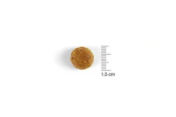 Solidary - Croquettes pour Chiens - 15Kg