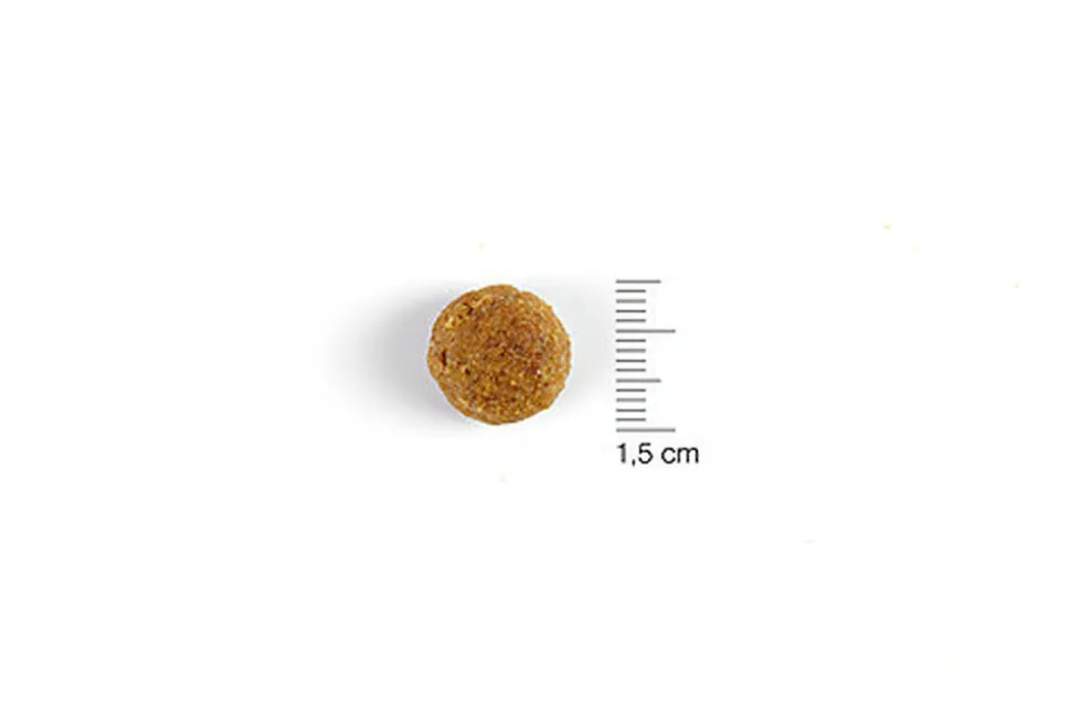 Solidary - Croquettes pour Chiens - 15Kg
