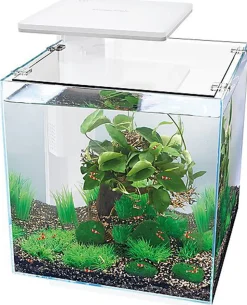 Superfish - Aquarium Equipé Qubiq Pro 30 pour Poisson - Blanc