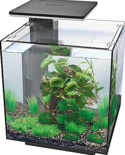 Superfish - Aquarium Equipé Qubiq Pro 30 pour Poisson - Noir