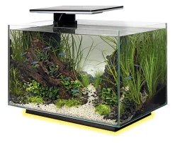 Superfish - Aquarium Quadro 40 Multi Colour - Noir
