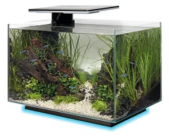 Superfish - Aquarium Quadro 40 Multi Colour - Noir