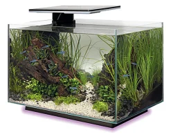 Superfish - Aquarium Quadro 40 Multi Colour - Noir