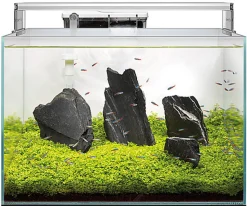 Superfish - Aquarium SCAPER 90 en Verre Crystal Clear - 90L