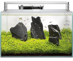 Superfish - Aquarium SCAPER 70 - 60x40x28cm