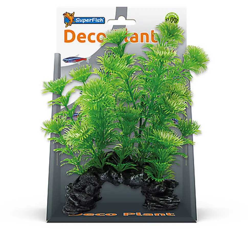 Superfish - Décoration Plante Artificielle Cabomba pour Aquarium - S