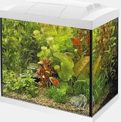 Superfish - Kit Aquarium Start 30 Tropical Blanc - 27L