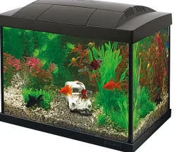 Superfish -  Kit Aquarium START 20 Noir - 16L