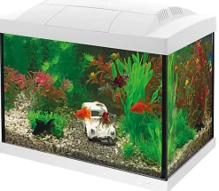 Superfish -  Kit Aquarium START 20 Blanc - 16L