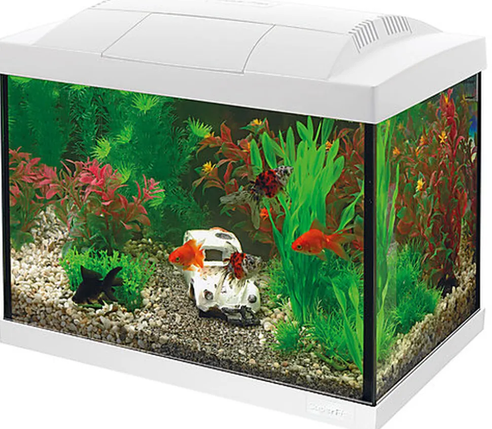 Superfish - Kit Aquarium START 20 Blanc - 16L