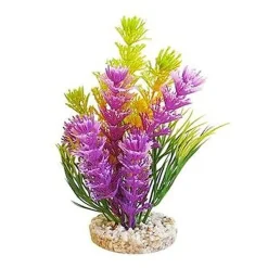 Sydeco - Décoration Magic Fiesta Colours pour Aquarium - 16cm